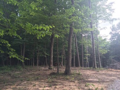 1380 Overlook Cir, Cookeville, TN 38506 - photo 3