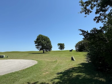 44 Dublin Ct, Gordonville, TX 76245 - photo 3