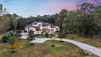 27374 Shady Hills Landing Ln, Spring, TX 77386 - photo 2