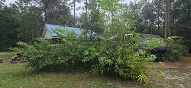 281 NE 817th St, Old Town, FL 32680 - photo 5