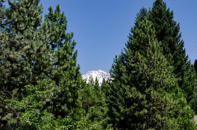 4001 Hope Ln, Dunsmuir, CA 96025 - photo 4