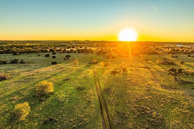 12695 Farm To Market Road 2843, Salado, TX 76571 - photo 5