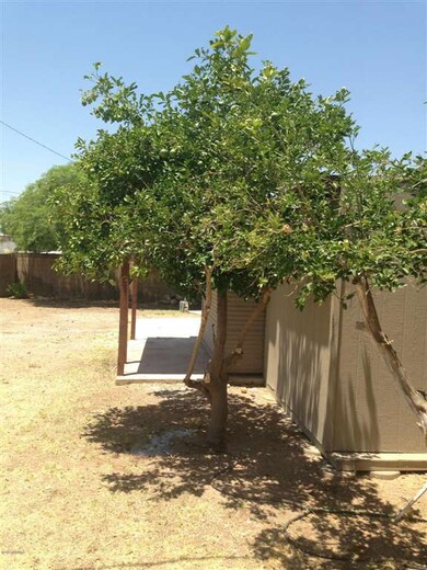 yard