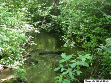 Stream