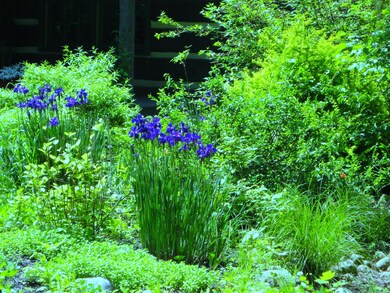 cabin flowers