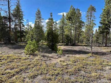 143 Fir Dr, Twin Lakes, CO 80461 - photo 5