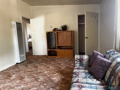 Living area with a heating unit and carpet flooring