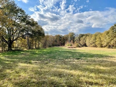 11461 Attala Road 4101, Sallis, MS 39160 - photo 5