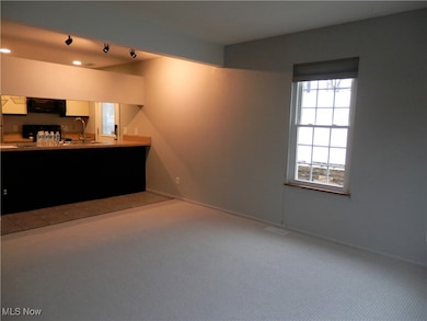 8080 Harbor Creek Dr unit 1103, Mentor On the Lake, OH 44060 - photo 4