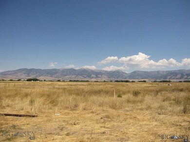 Bridger Views
