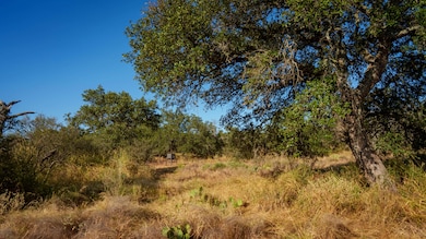 unlisted-address, Mason, TX 76856 - photo 3