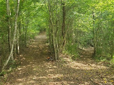 99999 Miranda Knoll, Leicester, NC 28748 - photo 4