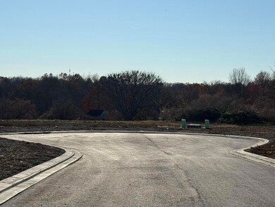 6681 Tullamore Ln unit Lot 3, Independence, KY 41051 - photo 6