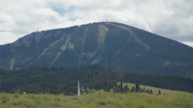 Tract 2 Whiskey Flats, Philipsburg, MT 59858 - photo 2