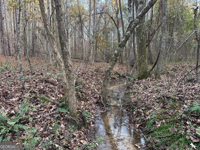 0 Ga Highway 34 unit 10652639, Franklin, GA 30217 - photo 3