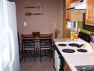 235 Elk Creek Rd, Deep Gap, NC 28618 - photo 4