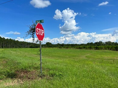 0 Swan Rd, Fitzgerald, GA 31750 - photo 4