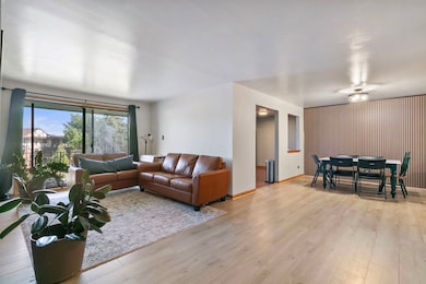 11015 S Theresa Cir unit 3, Palos Hills, IL 60465 - photo 3