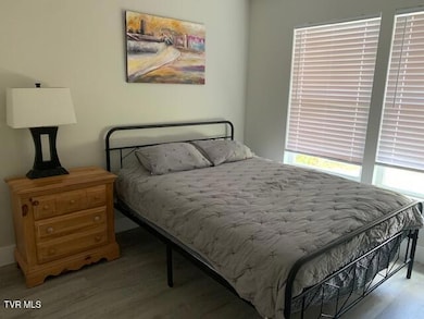 703 N Main Ave, Erwin, TN 37650 - photo 7