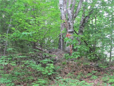 1 Webber Pond, Sweden, ME 04040 - photo 7