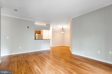 4550 Strutfield Ln unit 2216, Alexandria, VA 22311 - photo 2