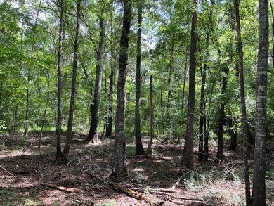 0000 Farm To Market Road 2864, Nacogdoches, TX 75965 - photo 5