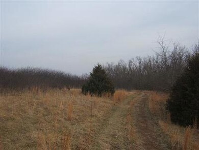 0 State Highway 248 unit 11101535, Jenkins, MO 65605 - photo 4