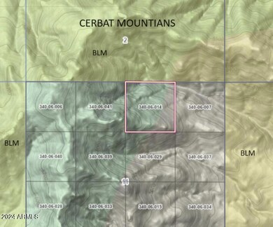 0 N 0 -- E unit 6708579, Chloride, AZ 86431 - photo 3