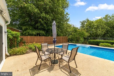 1203 Ednor Rd, Silver Spring, MD 20905 - photo 3