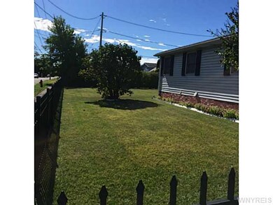 Yard/Garden
