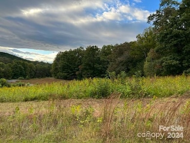 00 Stow-A-way Dr unit 44, Nebo, NC 28761 - photo 5