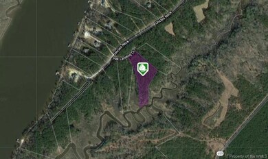 Bordering Oak Landing Creek, this lot offers canoe and kayak access right off the bank.