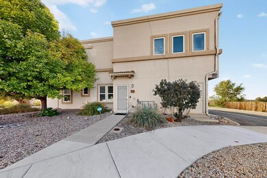4310 Santo Domingo St unit C, Santa Fe, NM 87507 - photo 4