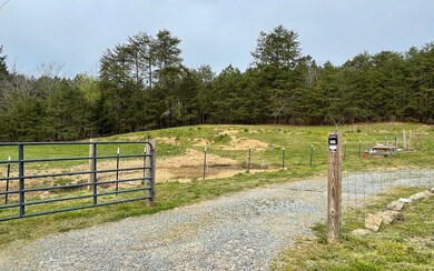 Additional View
