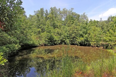 Pond