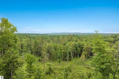 9644 Guenthardt Rd, Manistee, MI 49660 - photo 4