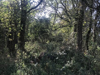 0 Ross Rd, Pulaski, TN 38478 - photo 4