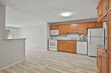 101 Whipple St unit 101-16, Worcester, MA 01610 - photo 2