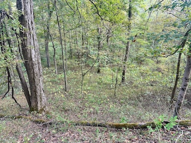 0 New England Ridge Rd unit 25758592, Washington, WV 26181 - photo 5