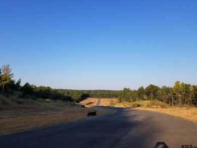 20522 Wild Arrow Ct, Arp, TX 75750 - photo 5