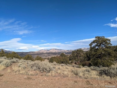 4389 Beekman Rd, Fort Garland, CO 81133 - photo 3