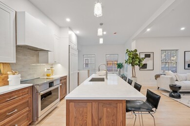 65 Francis St unit 65, Brookline, MA 02446 - photo 6