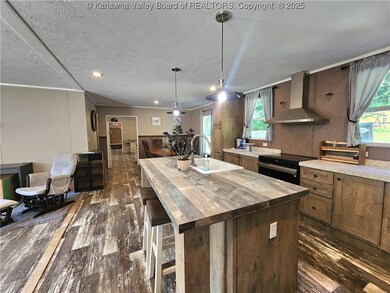 2573 Pentacre Rd, Elkview, WV 25071 - photo 5