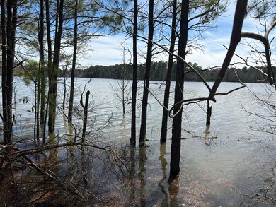 1031 Water Way, Lincolnton, GA 30817 - photo 6