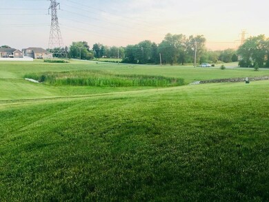 15731 W 101st Place, Cedar Lake, IN 46303 - photo 4