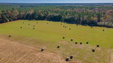 Hay Fields
