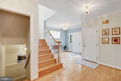 112 S Spring St, Falls Church, VA 22046 - photo 6