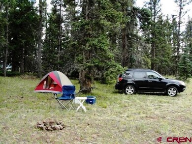 0 Cardwell Draw Rd unit 716504, Powderhorn, CO 81243 - photo 3