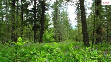 Lot 3 Wood View Rd, Sandpoint, ID 83864 - photo 4