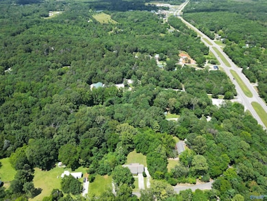 194 Bartee Rd, Laceys Spring, AL 35754 - photo 7